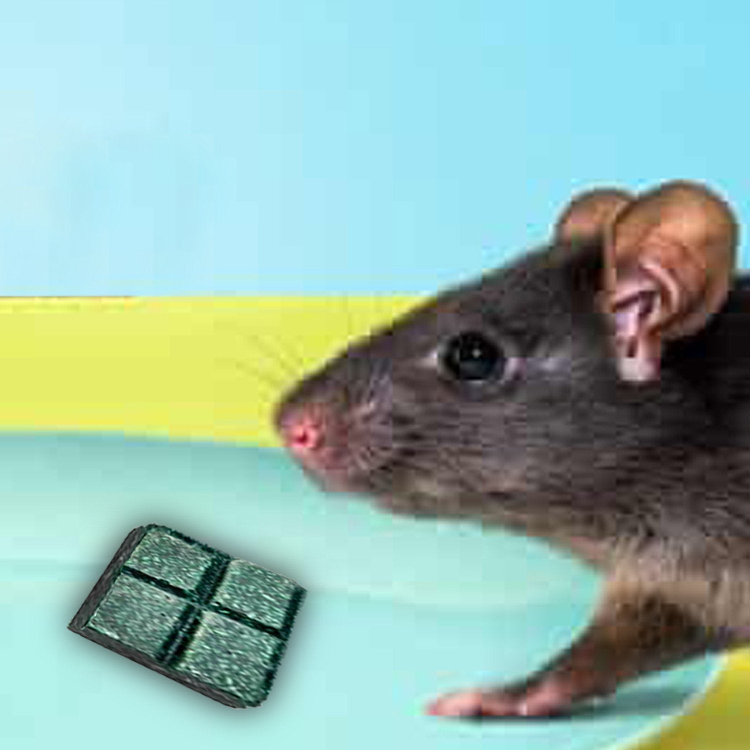 297 100gm PCI Roban the Rat Killer (Brown) BIG