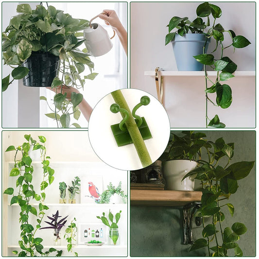 6156A 30pcs wall Plant Climbing Clip widely used for holding plants and poultry purposes and all.