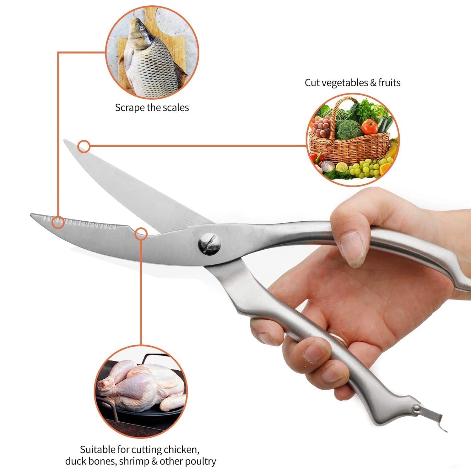 Heavy Duty Stainless Steel Poultry Shears, Premium Ultra Sharp Spring-Loaded Kitchen
