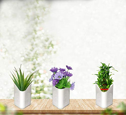 Plastic Vertical Hanging Planter Pot, Multicolour,
