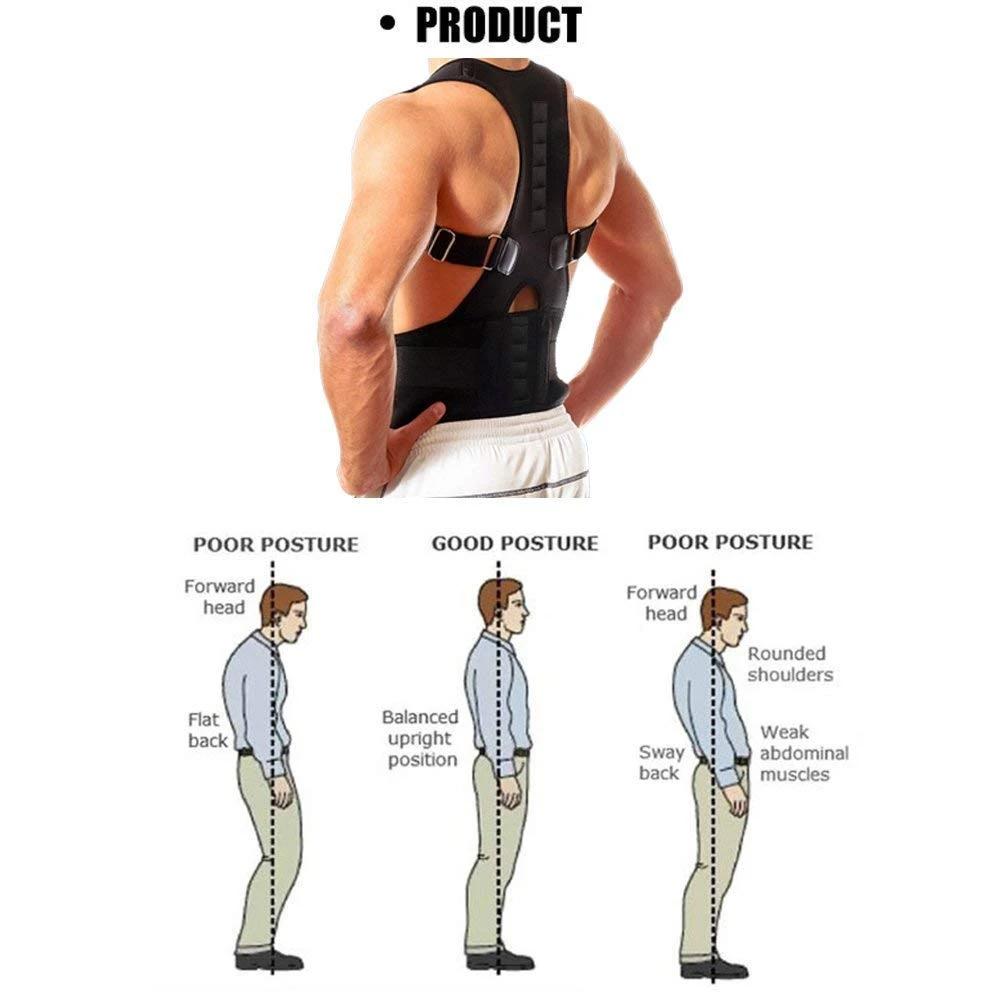 Real Doctor Posture Corrector (Shoulder Back Support Belt)