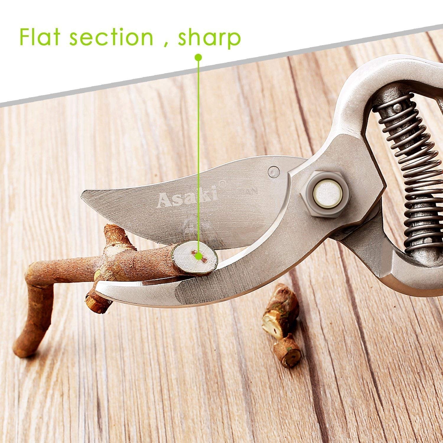 Garden Shears Pruners Scissor (8 inch) 